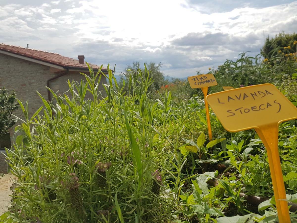 Il Fienile De La Cavallina Larciano Eksteriør bilde